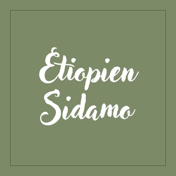 Etiopien Sidamo - kaffe