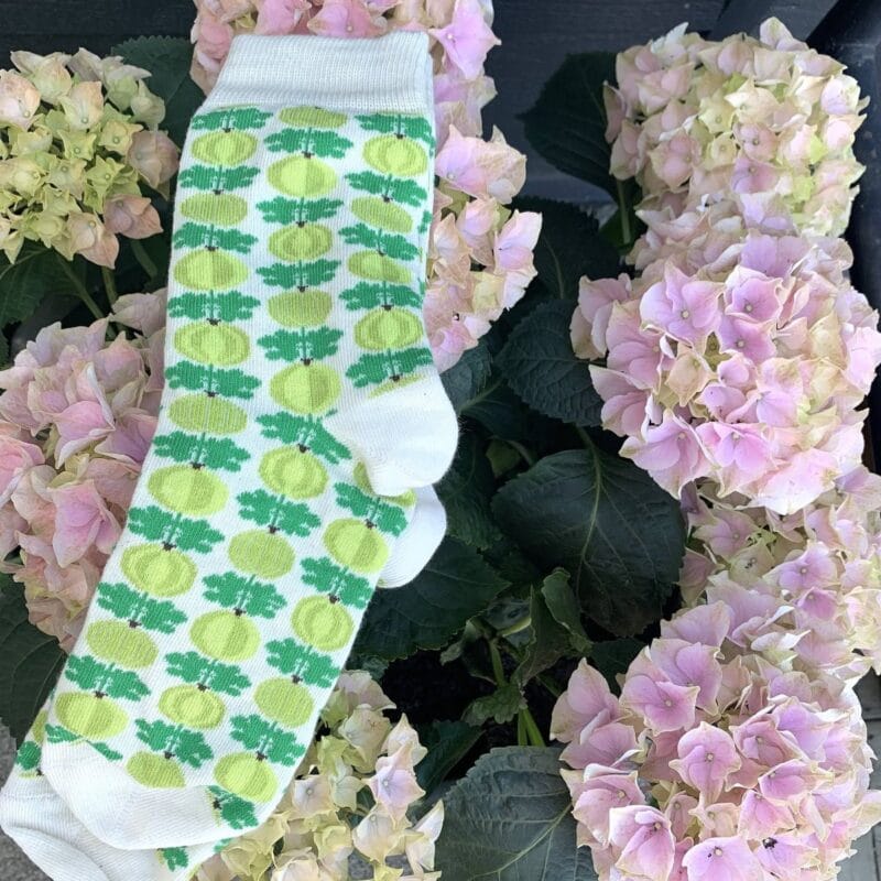 Stumpor Floryd Krusbär