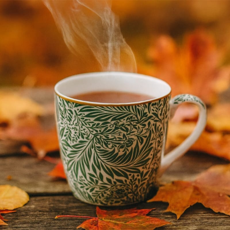 William Morris Larkspur Mugg 400 ml